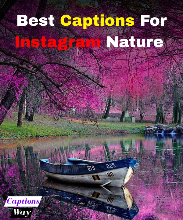 Best Captions For Instagram Nature