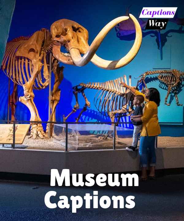 110+ Museum Captions in 2025