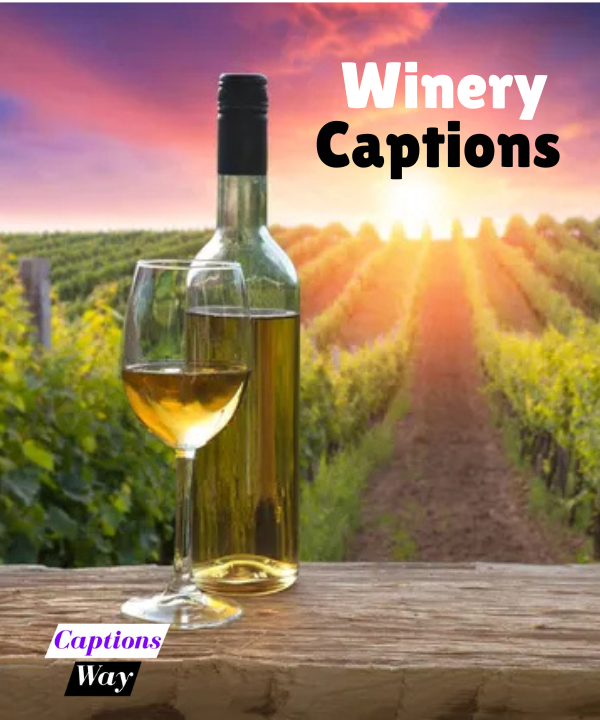 Top 200+ Winery Captions in 2025