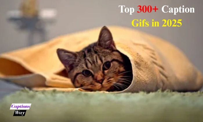 Top 300+ Caption Gifs in 2025